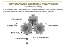 Cours soft capsule Siphass IFIA