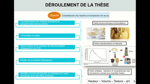 Mohamed Najib SECK - Centre RAPSODEE UMR CNRS 5302