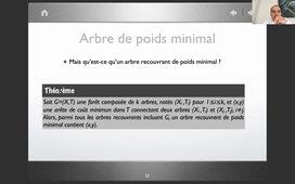 MODSIM C : Arbres recouvrants de poids minimun