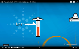 Animation Injection CPG