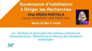 Soutenance d'Habilitation à Diriger des Recherches d'Elsa Weiss-Hortala